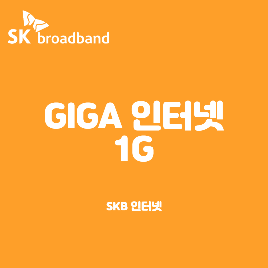Giga 인터넷 1G